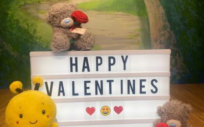 VALENTINE’S AT BEAR TOWN
