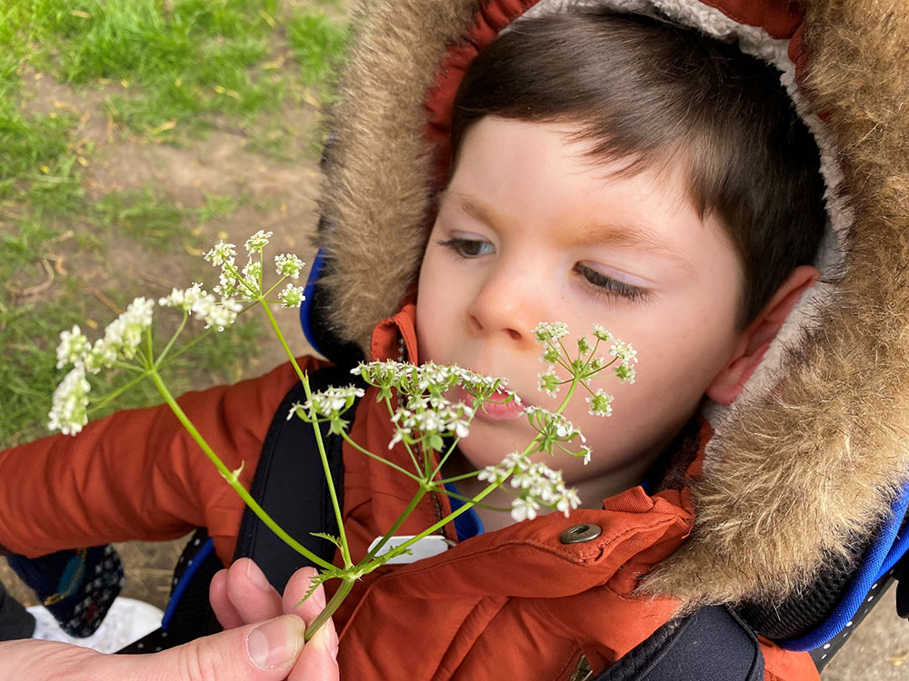 A young boy with his fluffy coat hood pulled up is smelling a wild flower.
